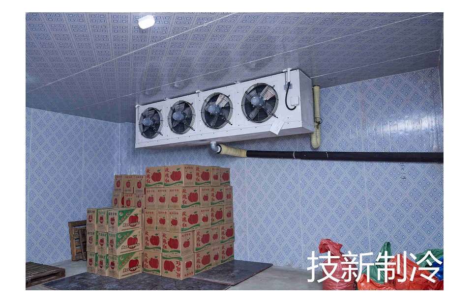华南国际市场板栗保鲜库